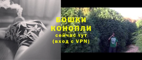 дмт Богородицк
