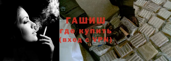 гидра Богородск