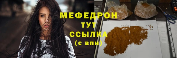 гидра Богородск
