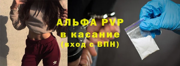 гидра Богородск