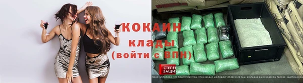 гидра Богородск