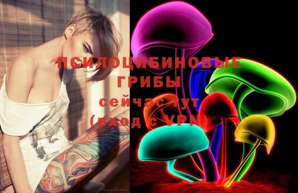 дмт Богородицк