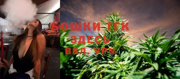 дмт Богородицк