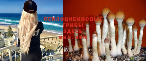 экстази Аркадак