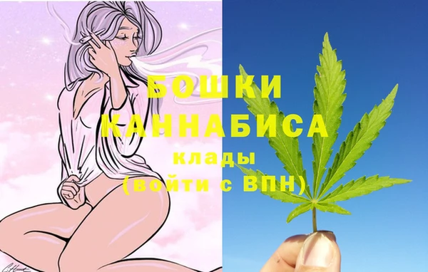 дмт Богородицк