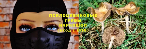 эйфоретик Аша